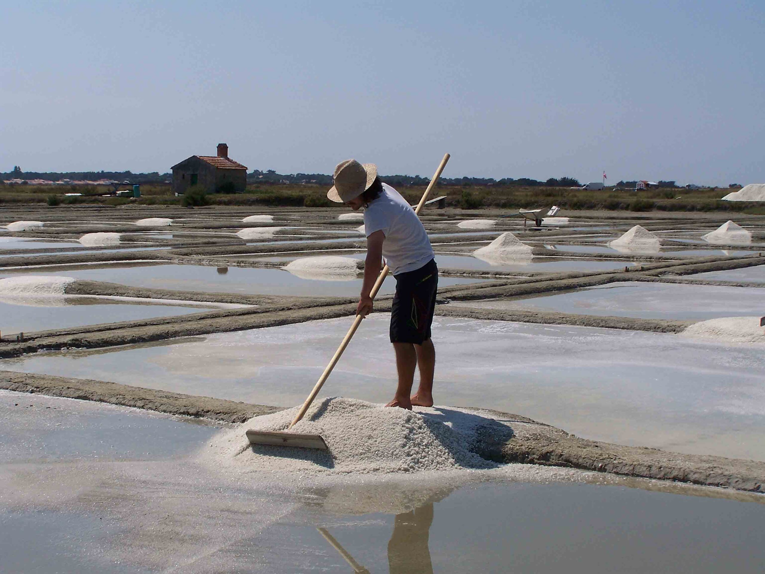 La saunière et le saunier vous accueillent à leur marais salant sur l'île de Noirmoutier. Récolte artisanale du gros sel et de la fleur de sel.